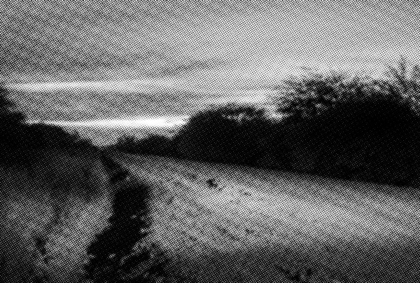 Camino a Pedro P. Peña, Pelícano